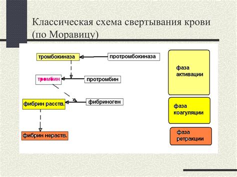 Свертывание крови схема егэ - 93 фото