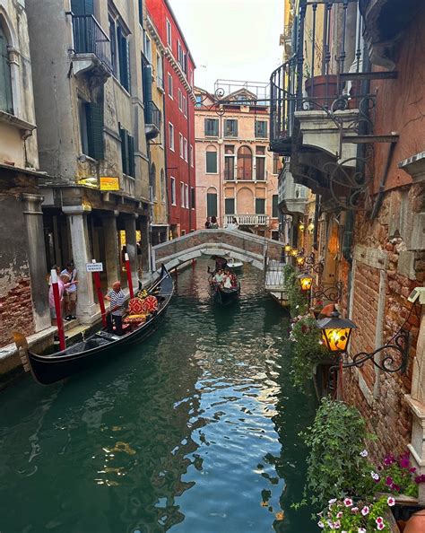 Nikki D'Alessandro added a new photo. - Nikki D'Alessandro