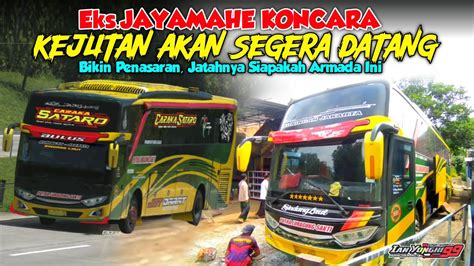 Prepare Kejutan Menjelang Ramadhan Akan Segera Datang Pasukan Bulus