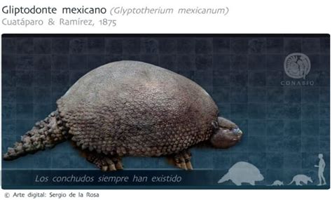 La megafauna de Nuevo León qué animales habitaron el estado durante