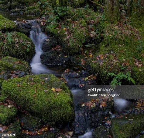 329 Trickling Water Stock Photos High Res Pictures And Images Getty