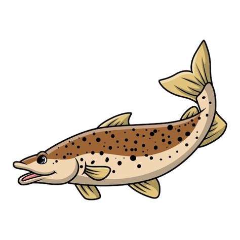 Premium Vector Cute Salmon Fish Cartoon On White Background