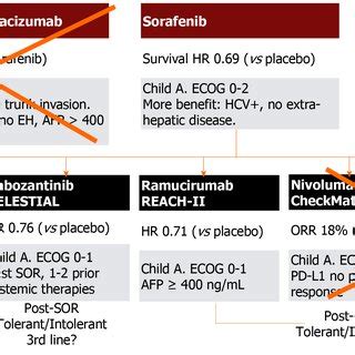 First And Second Line Therapies For Advanced Hepatocellular Carcinoma