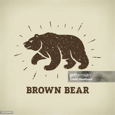 213 Brown Bear Silhouette Stock Photos, High-Res Pictures, and Images ...