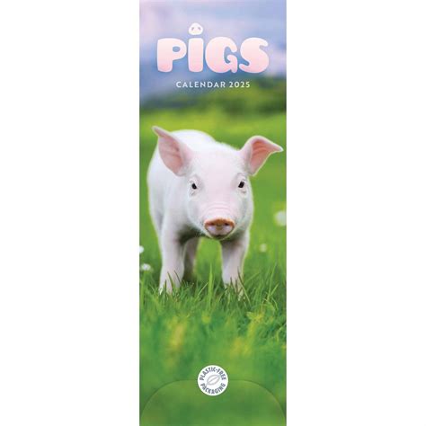 Acheter Calendrier Cochon 2025 Slimline Commander Facilement En Ligne