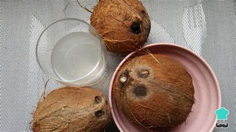 Conservas De Coco Receta F Cil