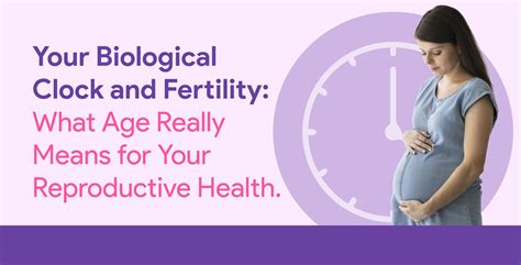 Your Biological Clock And Fertility What Age Really Means For Your