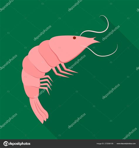 Isolated Object Of Prawn And Raw Symbol Set Of Prawn And Luxury Vector Icon For Stock Stock