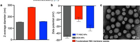 Figure 2 From Biomimetic Targeted Theranostic Nanoparticles For Breast Cancer Treatment