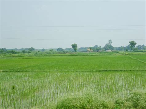 Groundwater Depletion In Haryana A Cause Of Serious Concern Vardhman