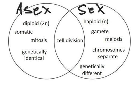 Construct A Venn Diagram That Compares And Contrasts Sexual And Asexual