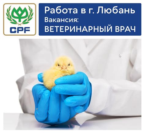 Птицефабрика Северная (HR) 2024 | ВКонтакте