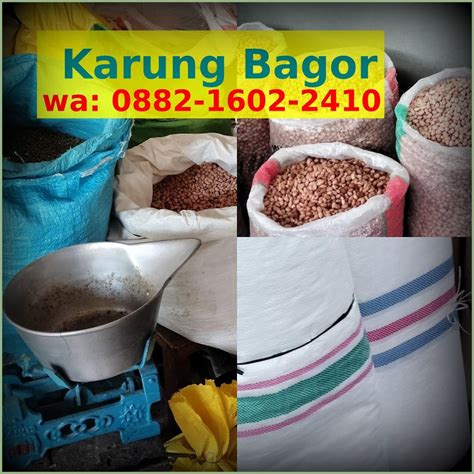 Jual Karung Beras Hijau O L O Lo Wa Jual Karung Bagor Beras Murah