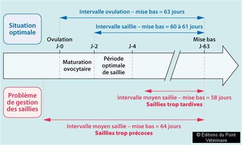 Comment Réaliser Une Visite Délevage Canin Ou Félin Le Point