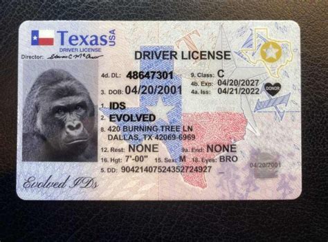 Best Fake Id Websites Updated April 2023 Tidewater