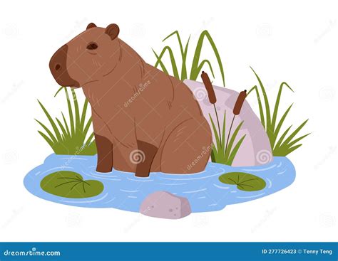 Capibara De Dibujos Animados Animal Salvaje Semiacuático Lindo En