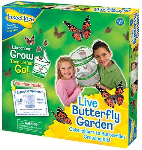 Insect Lore Butterfly Growing Kit Butterfly Habitat Kit With Voucher To Redeem 5