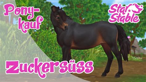 Star Stable Sso Pferdekauf Das S E Dartmoor Pony Youtube