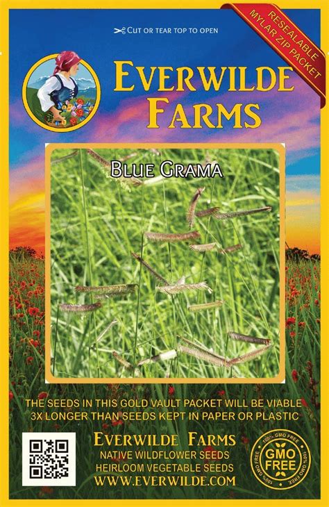 Buy Everwilde Farms 1000 Blue Grama Native Grass Gold Vault Jumbo Seed Packet Online At