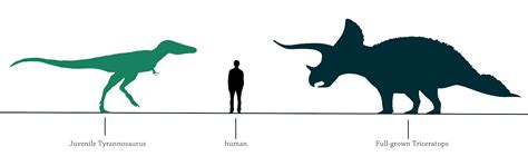 A Dinosaur Size Comparison Naturewasmetal | Images and Photos finder