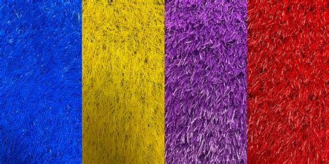 Special Color Turf Professor Grass