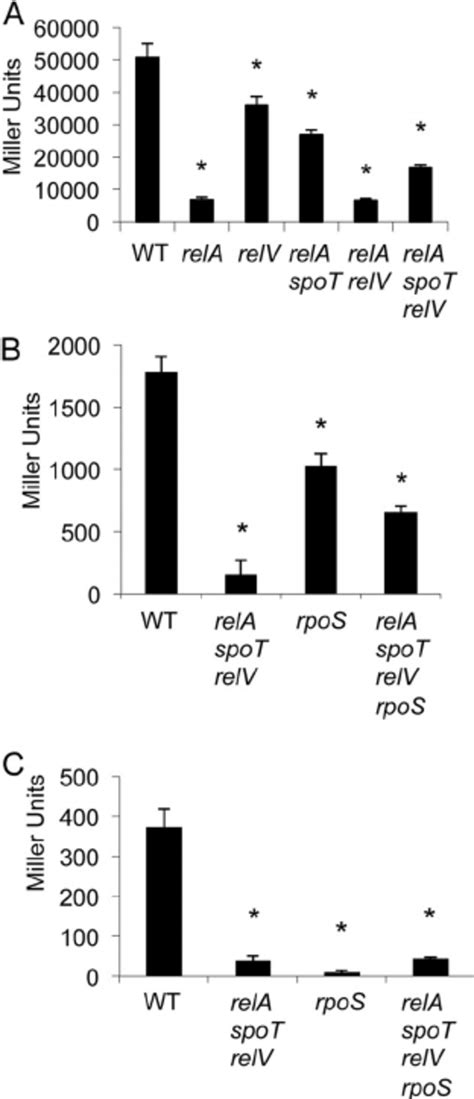 Stringent Response Regulation Of Rpos Affects Vpsr And Vpst Expression