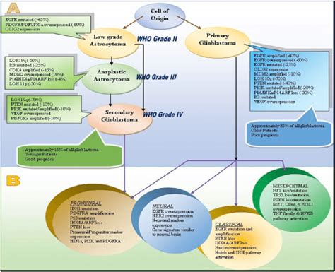 Genetic And Molecular Pathogenesis Of Gbm A Aberrations Involved In Download Scientific