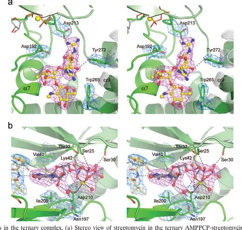 Figure 2 From The Crystal Structures Of Substrate And Nucleotide