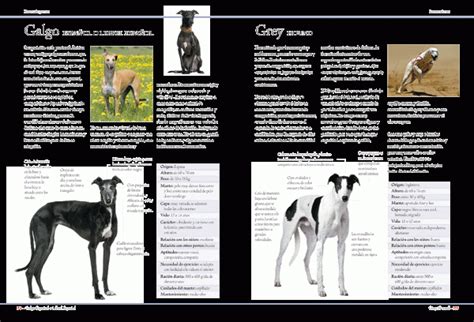 Enciclopedia De Las Razas De Perros Libsa