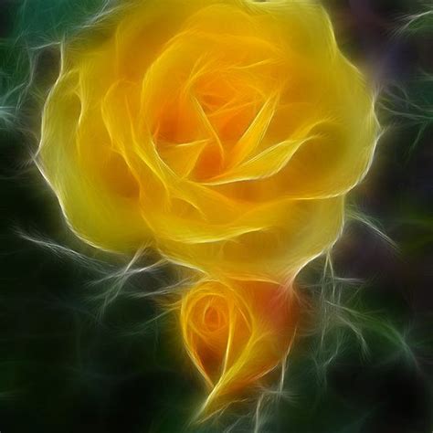 Rose 2 By Annika Strömgren Fractal Art Fractals Flower Art