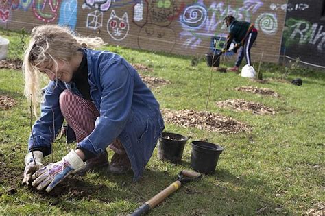 Tree Planting London Fields London Fields 7 January 2023