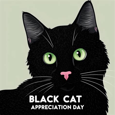 Black Cat Appreciation Day 17 August A Celebration Of Gratitude To The