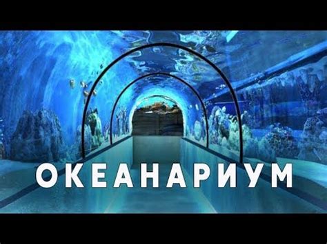Oceanarium, KYIV, UKRAINE, Walking Tour - YouTube