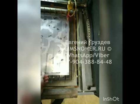 Трафареты камуфляжа - Трафарет папоротника