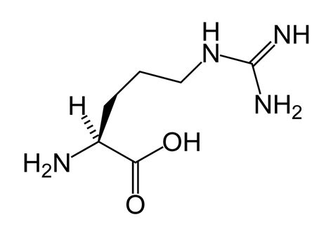 L-Arginine – Benefits, Food Sources, and Side Effects