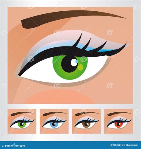 Woman Eyes Of Different Colors Stock Vector Illustration Of Eyesight