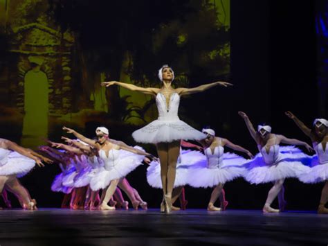 Pera De Arame Recebe O Bal O Lago Dos Cisnes Ana Botafogo Nesta