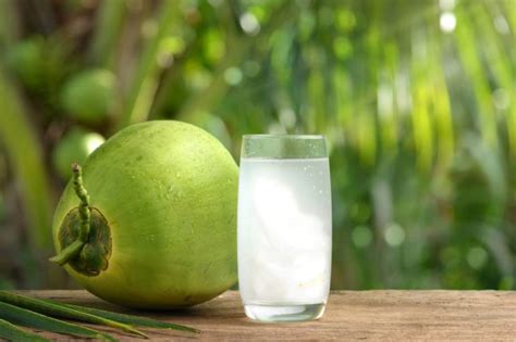 14 Manfaat Minum Air Kelapa Hijau Setiap Hari Bagi Kesehatan