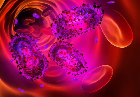 Transmission du virus monkeypox atypique et unique en 2022