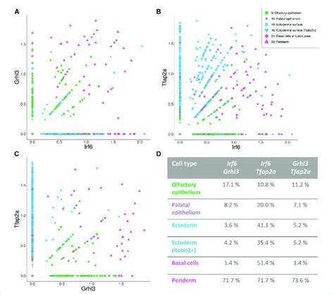 Distinct Populations Of Epithelial Cells With A Possible Involvement In Download Scientific