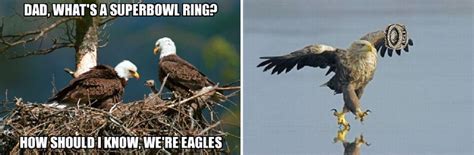 Let me fix that Eagles Super Bowl meme for you | PhillyVoice