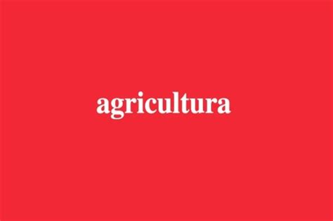 Radio Agricultura UNAB revela disparidad de género en libros