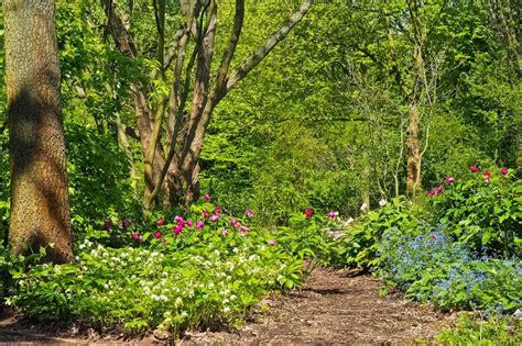 Was Ist Ein Waldgarten Ebenen Prinzipien Derwaldgarten De