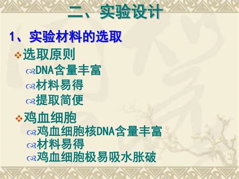 Ppt Dna 的粗提取与鉴定 Powerpoint Presentation Free Download Id 3570760