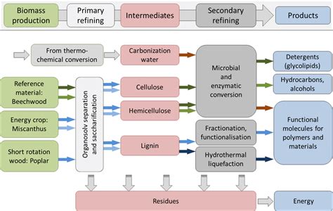 Value Chains Analysed In The Modular Lignocellulosic Biorefinery