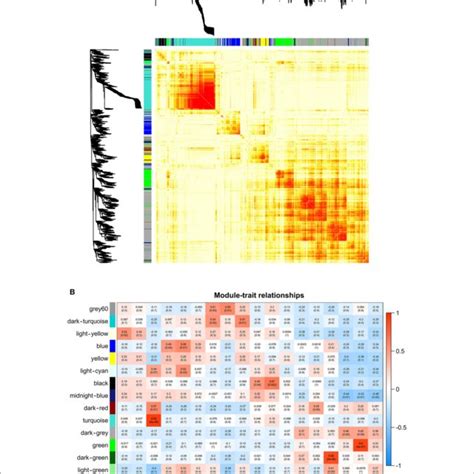 Results Of Weighted Gene Coexpression Network Analysis Wgcna Of