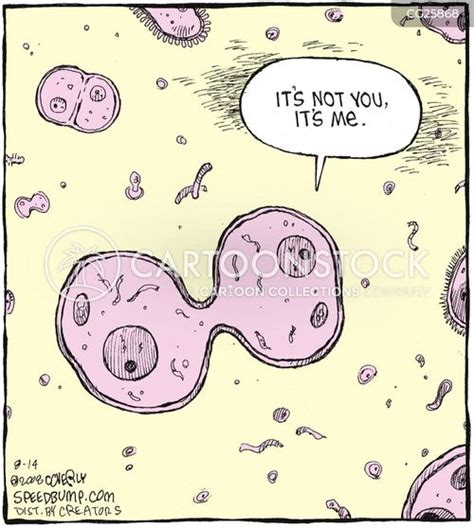 Cellular Mitosis Cartoons and Comics - funny pictures from CartoonStock