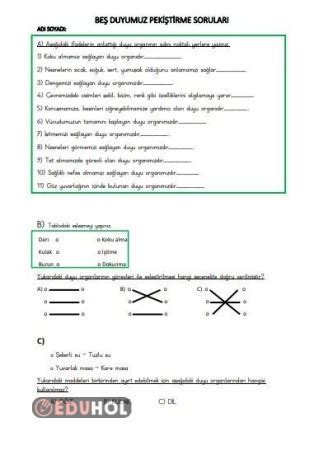 Duyu Organlarımız Pekiştirme Eduhol Etkinlik İndir Oyun Oyna