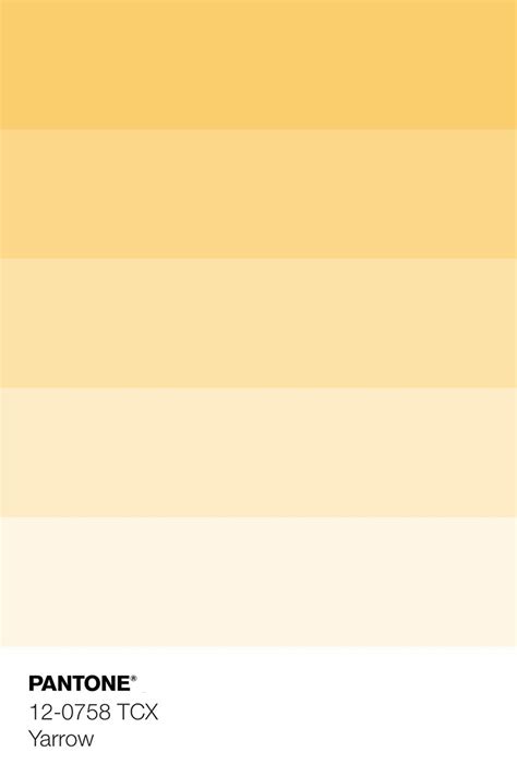 Purple Colour Shades Color Palette Yellow Summer Color Palette