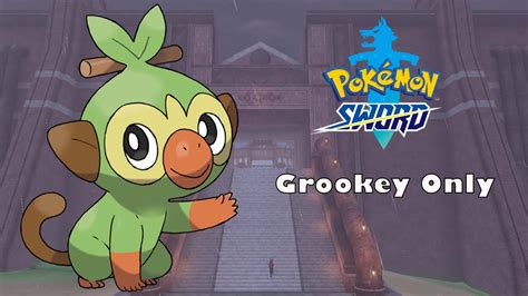 Can I Beat Pokemon Sword With Only Grookey No Items In Battle Youtube